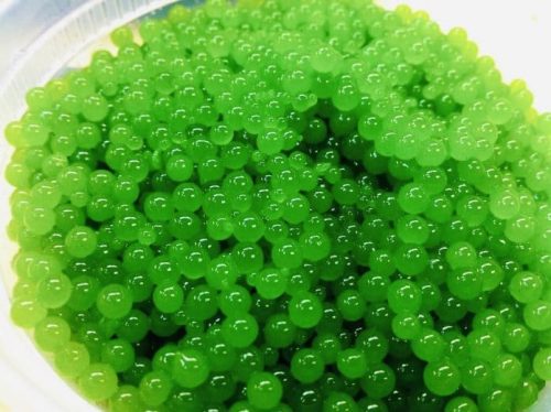 Cannabis infused caviar spheres recipe