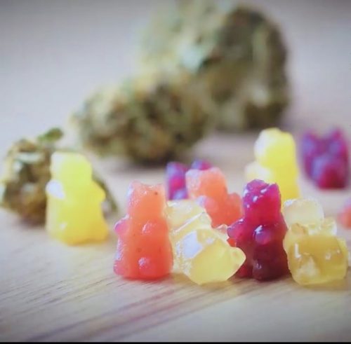 Cannabis THC gummy bears for fibromyalgia