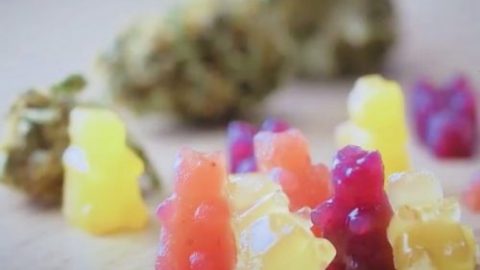 Cannabis THC gummies recipe with tincture