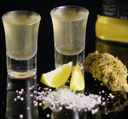 Cannabis shot glasses filled with infused tequila