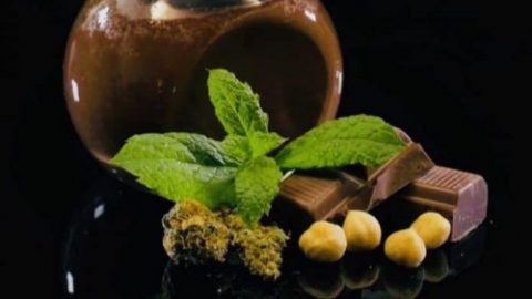 Cannabis infused Nutella chocolate recipe