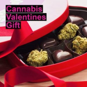 Cannabis valentines chocolates as DIY gift recipe