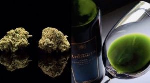 Cannabis infused wine recipe