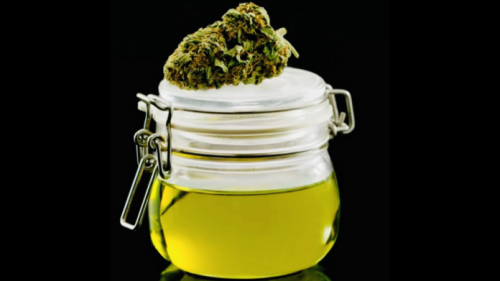 Mason jar filled with homemade CBD oil from raw flower