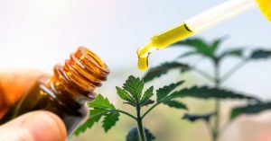 Cbd oil used as ingredient in cooking food