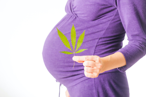 Cannabis while pregnant