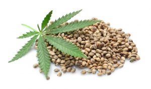 Hemp extract