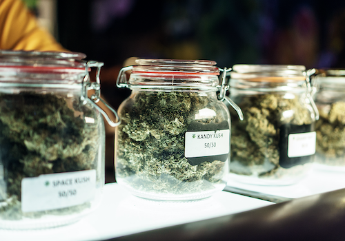 4 types of cannabis strains in jars.