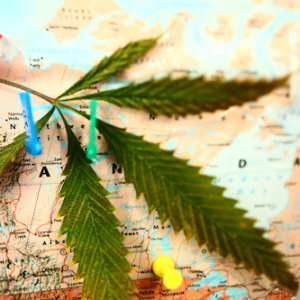 Weed map of Canada, Weed legalization Canada, Weed in Canada
