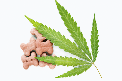 CBD dog food example