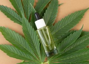 cbd tincture for pet weed edibles