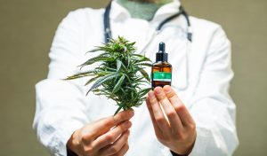 Dr. holding cannabis oil and cannabis bud