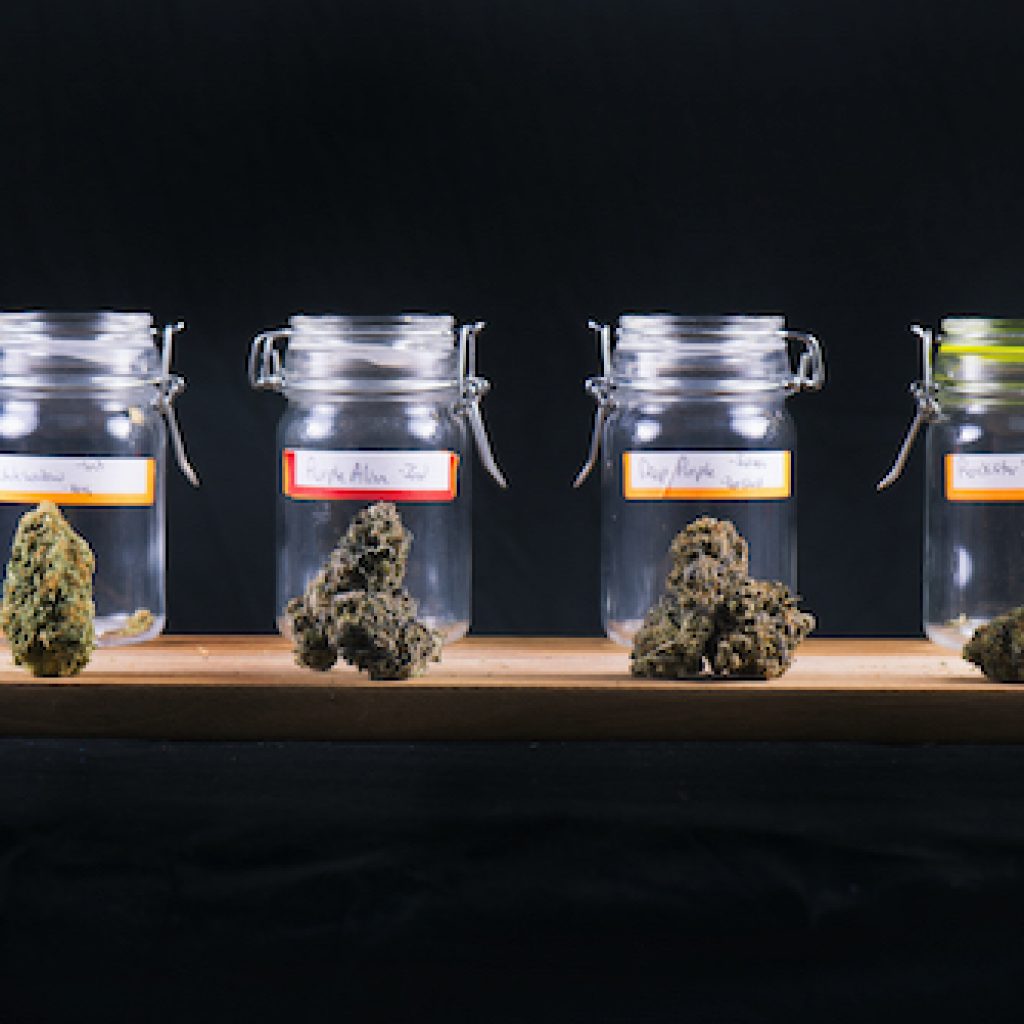 Four jars that contain cannabis. 