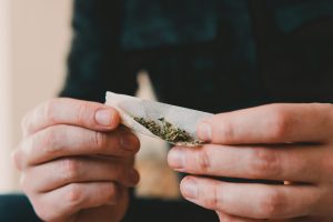 Person rolling a cannabis joint