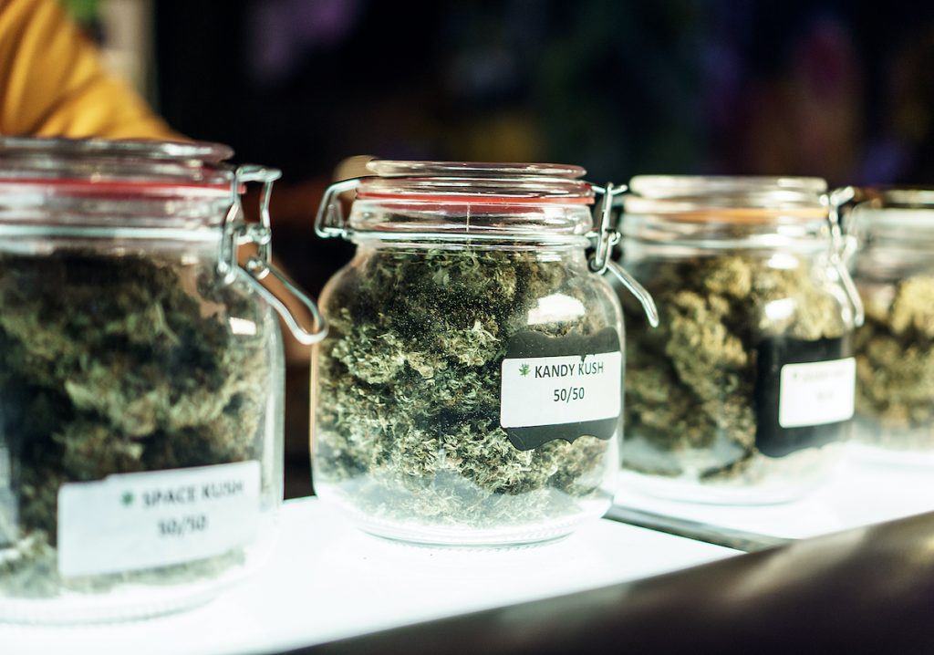 cannabis strains in jars