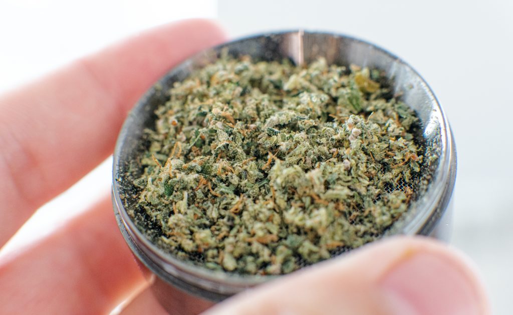 cannabis grinder in hands