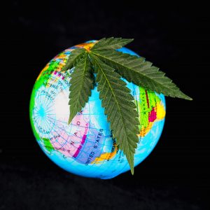 where cannabis is legal in the world