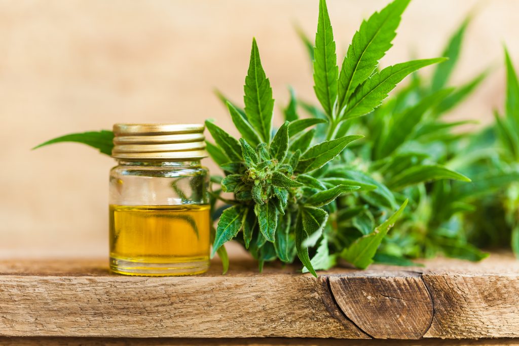 cannabis oil for hair care