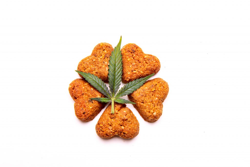 heart shaped cbd dog treats