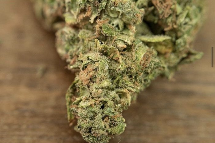 CBG dominant cannabis strains