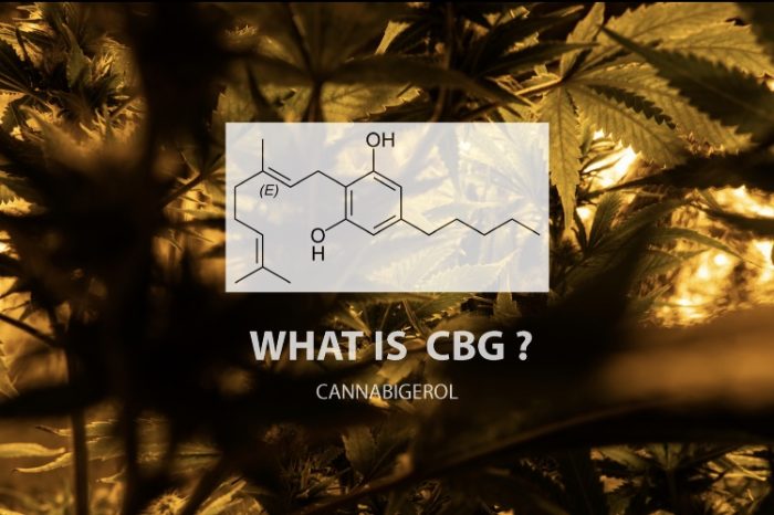 What is CBG cannabigerol