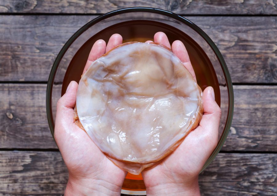 cannabis-kombucha-scoby