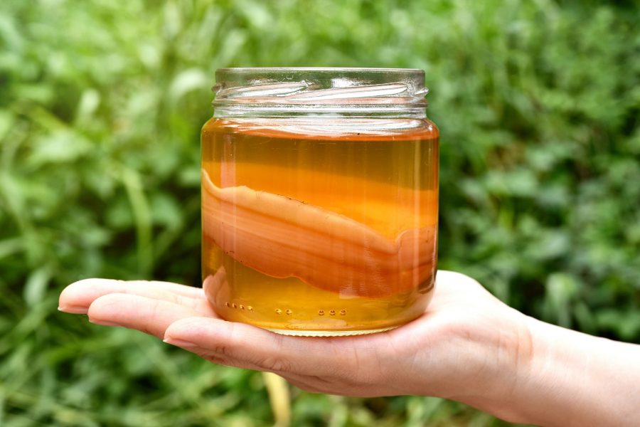 cannabis-kombucha-tea