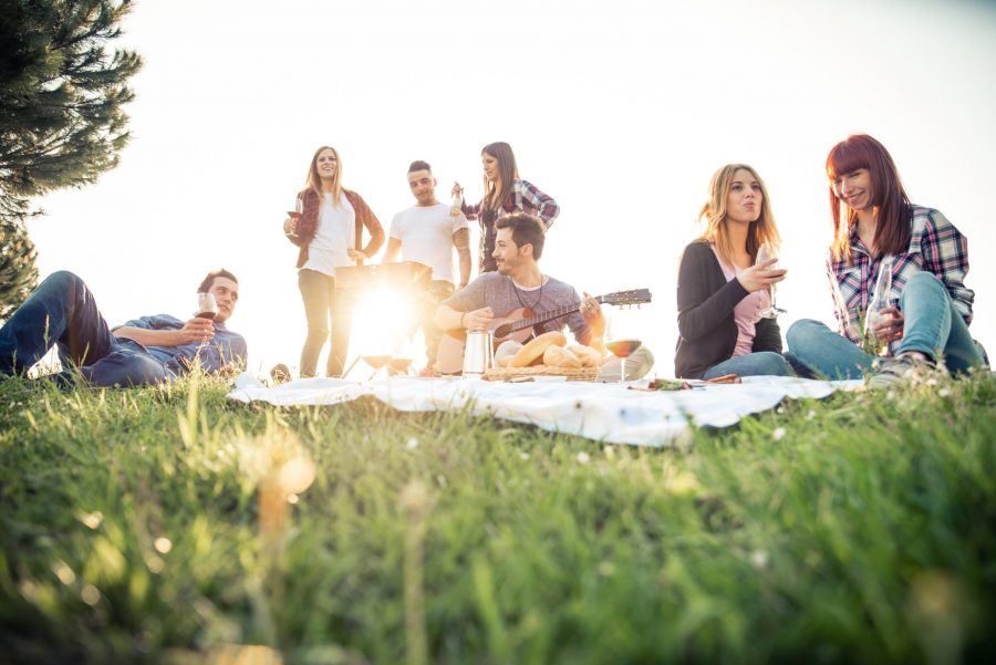 pot-picnic-edibles