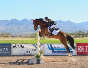 Horse Jumping CBD Oil