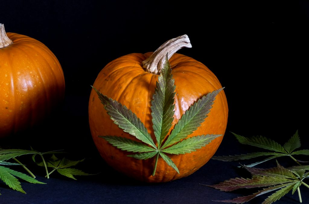 Halloween-Weed-Pumpkins