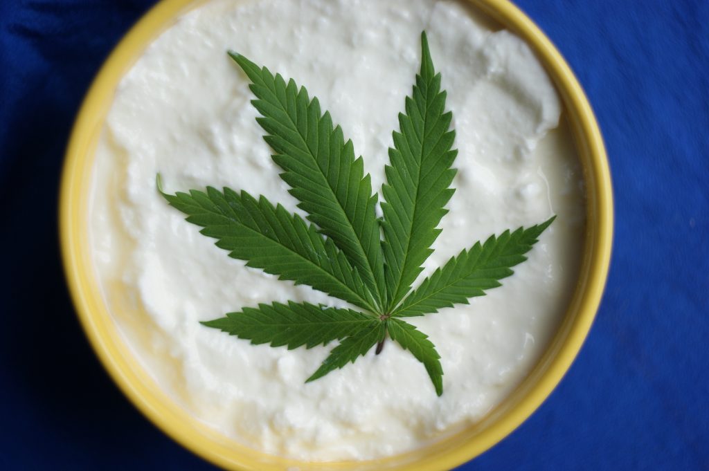 marijuana-yogurt