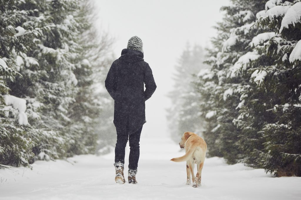 walk in the snow