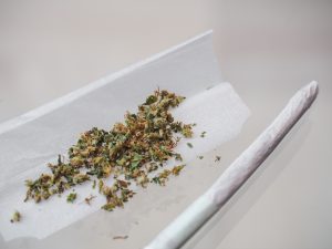 cannabis-for-beginners