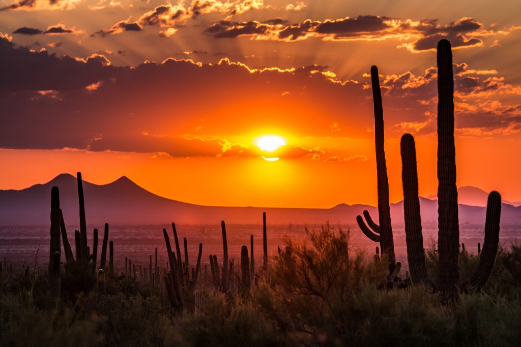 arizona-cbd-legalization