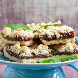 oatmeal-fig-squares